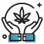 Medical Marijuana Doc